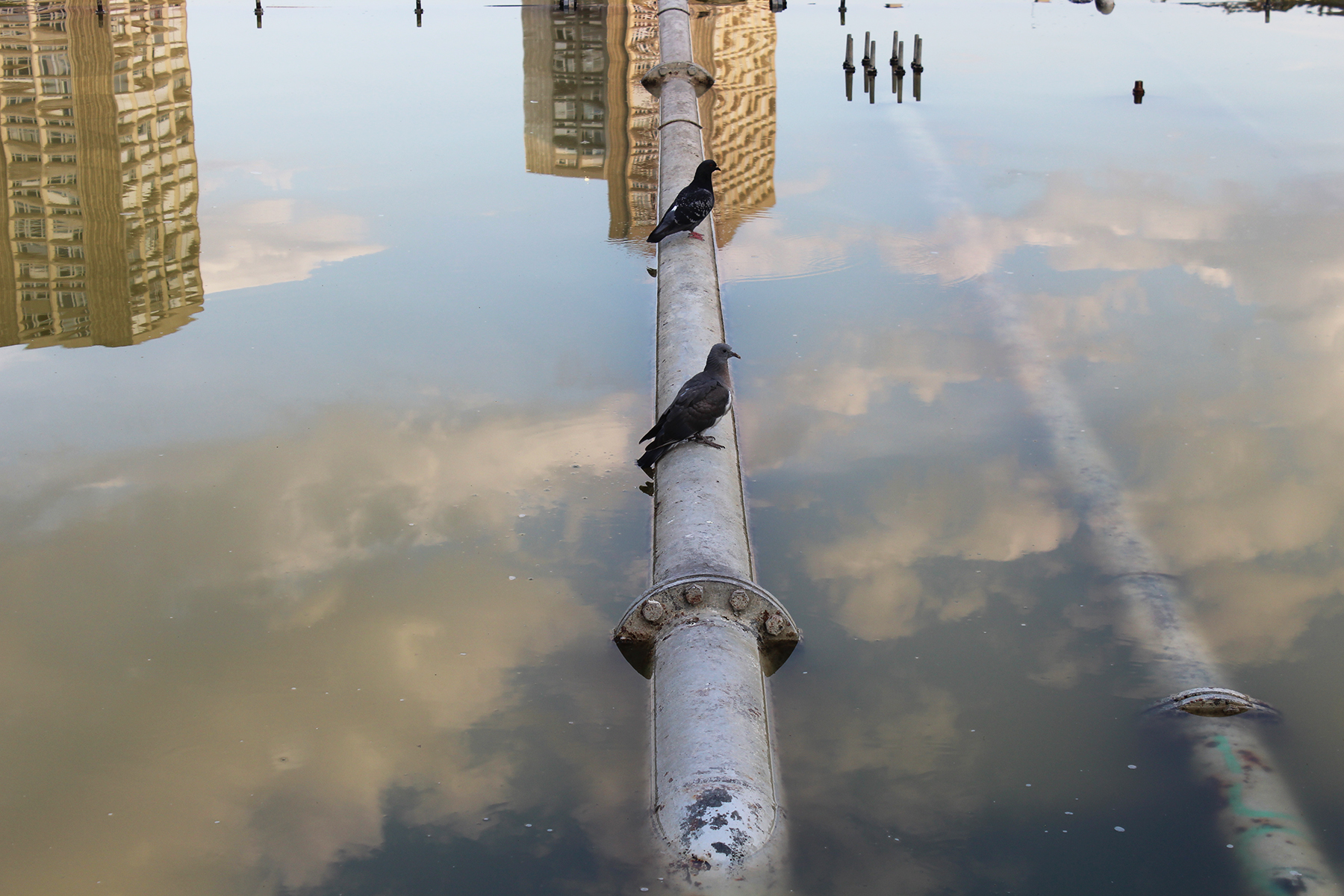 Marc Marane Photos | Paris