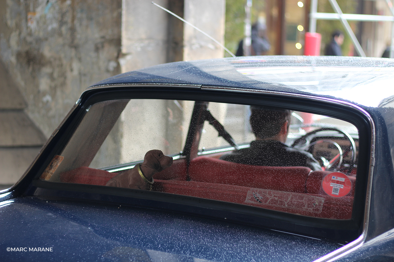 Marc Marane Photos | Paris