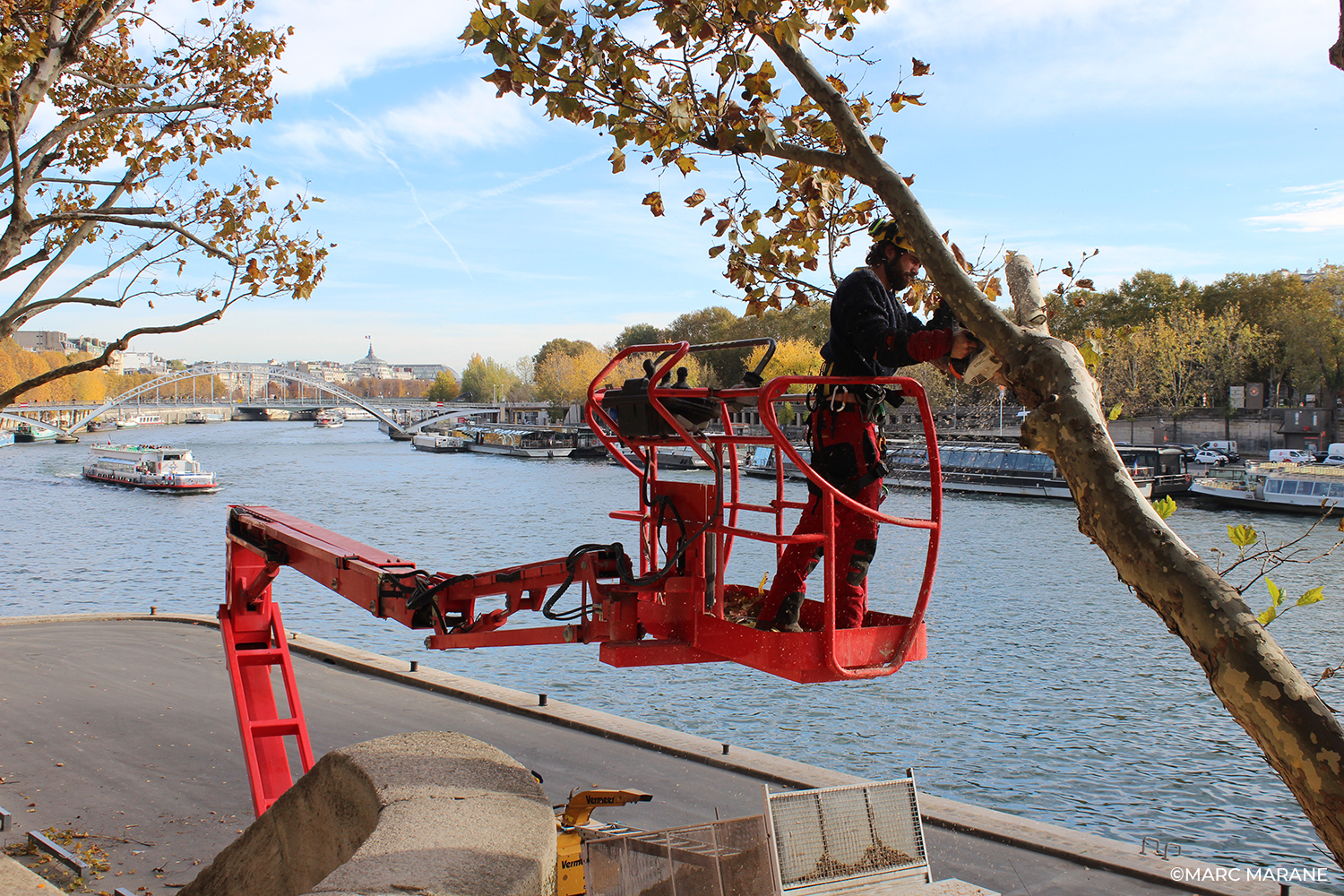 Marc Marane Photos | Paris