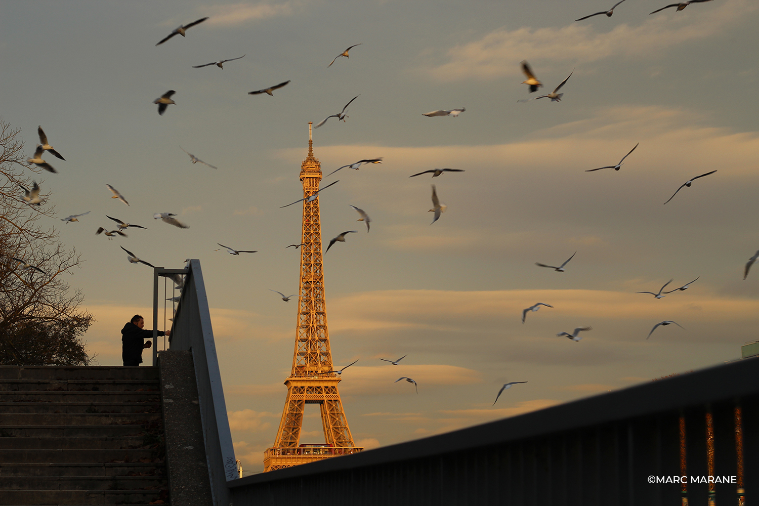 Marc Marane Photos | Paris